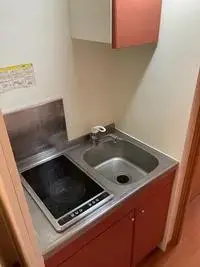 Niigata Rentalsleopalace K2 Second