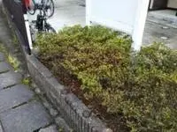 asakuraWeekly Rental  Rentals[Weekly Rental ]leopalace Dimanche