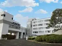 tendoCelebrities Rentals[Celebrities]leopalace DAN