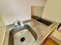 suwa city Rentalsleopalace Tierra