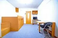 omura Rentalsleopalace Cherry Corpo Kagayaki