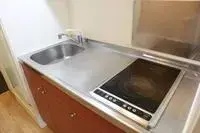 fujinomiya city Rentalsleopalace Cypress