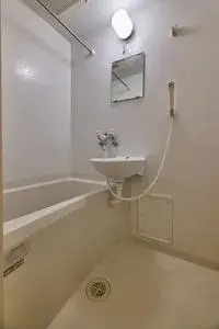 toyama Rentalsleopalace Regulus II