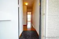 Fukuoka Rentalsleopalace Iris II