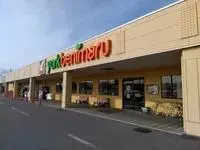 Utsunomiya Rentalsleopalace Karuna