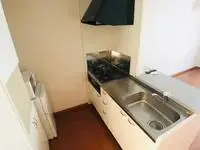 Mitoshort-term accommodation Rentals[short-term accommodation]leopalace Stevia