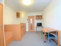 OkawaBNB Rentals[BNB]leopalace Will Okawa