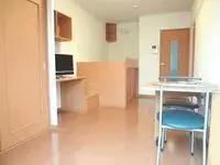 hekinanBNB Rentals[BNB]leopalace Annsoreie Megumu