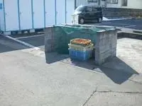 yamato town, kurokawa district Rentalsleopalace People