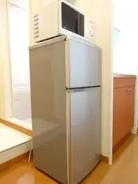 hirosaki Rentalsleopalace Beurer