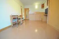 KumamotoSingle Apartment Rentals[Single Apartment]leopalace New Town