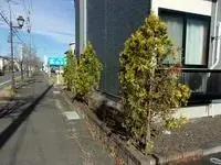 dateHomestay Rentals[Homestay]leopalace Saiwaicho