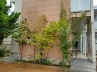 nagaoka city Rentalsleopalace Sugino