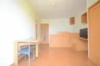 hatsukaichiSingle Apartment Rentals[Single Apartment]leopalace Pine Takinoshita