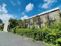 MachidaCelebrities Rentals[Celebrities]leopalace CEREZO