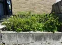 AkitaSingle Apartment Rentals[Single Apartment]leopalace Sakura