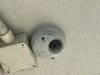 ashikaga city Rentalsleopalace Famille