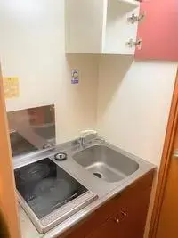 yanagawa Rentalsleopalace Wilo II