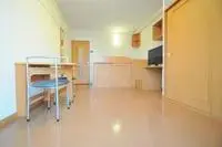 toyookaSingle Apartment Rentals[Single Apartment]leopalace Oozo