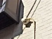 Saitama Rentalsleopalace Excel Nakazato