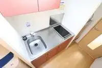 Hikone Rentalsleopalace olive II