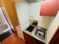 kasumigaura Rentalsleopalace La Luce II