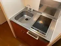 hamamatsu city Rentalsleopalace Grenze II