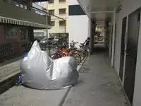 itomanCelebrities Rentals[Celebrities]leopalace TK