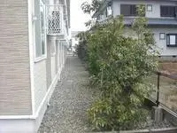 sakai city个人房屋