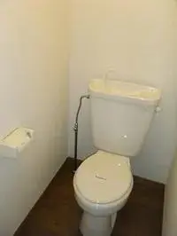 yamato town, kurokawa district Rentalsleopalace People