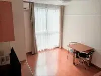 kamoWeekly Rental  Rentals[Weekly Rental ]leopalace Ryuto