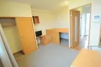 taketoyo town, chita district Rentalsleopalace SHINEI