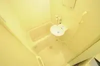 Shizuoka Rentalsleopalace Cherry Blossom