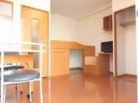 tomiokaSingle Apartment Rentals[Single Apartment]leopalace Nadeshiko