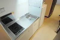 Osaka RentalsLEONEXT Hikariso