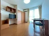 Takasaki Rentalsleopalace Maison Usui