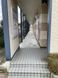 obama city Rentalsleopalace EVOBAMA 21