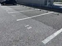 Hikone Rentalsleopalace olive II