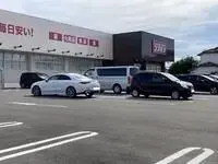 hashimaCelebrities Rentals[Celebrities]leopalace Fasil