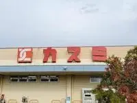 加须市寄宿家庭