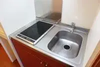 fujinomiya city Rentalsleopalace Chamomile