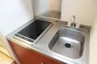 nagaizumi town, sunto district Rentalsleopalace River