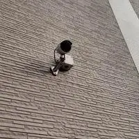 Kashiwa RentalsLEONEXT Grand Siesta