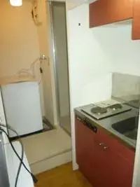 Hino Rentalsleopalace Emino