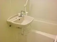 Saitama Rentalsleopalace Sakawa