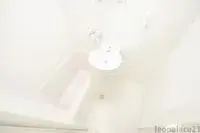 iwadeCelebrities Rentals[Celebrities]leopalace UNI