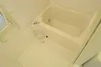 岐阜市单身公寓租房[单身公寓]LEONEXT Hakusan II