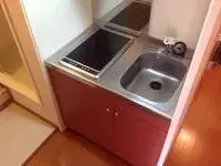 Chiba Rentalsleopalace Takeyama