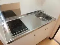 joetsuBNB Rentals[BNB]LEONEXT Altair