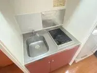 iwata city Rentalsleopalace Cattles